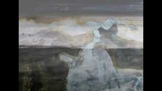 Scott Walker - Psoriatic / 'In the Bleak'