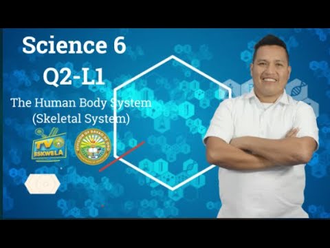 SCIENCE 6 (Quarter 2-Module 1): The Human Body System (Skeletal System)