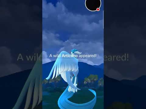 ✨️ Реакция Шайни, когда на стриме появляется Шайни Галарская птица ✨️ #galarianbirds #shinypokemon