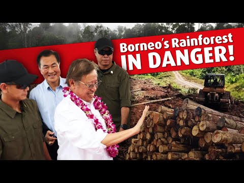 Save the Baram Forest