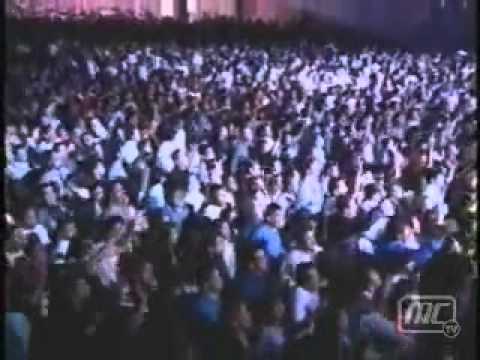 Me Gozare me alegrare Inspiracion 6