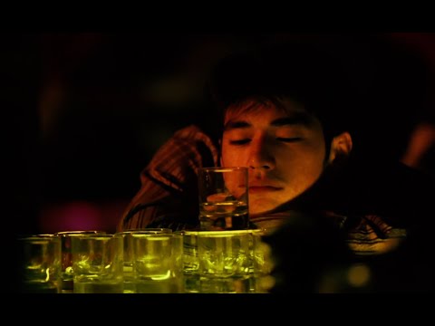 DREAM LIKE ME - (루광중 X 검정치마) x 중경삼림(가사, 번역)