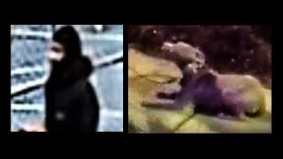 DC  Dog Abuse: Detailed Analysis - Help Me Get Justice for This Dog!