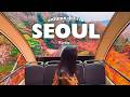 Autumn In Seoul Korea VLOG Best Autumn Foliage Spots Hwadan Forest Cafes With View Home Baking