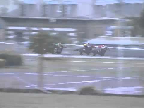 Barrier Trial 8th april 2014 at 6:00am - LeisureJet StomyCape YodaMan AnnacondaMoon