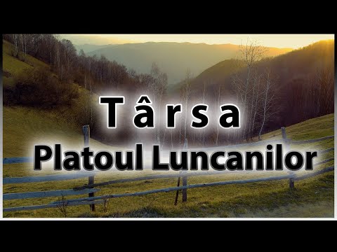 Târsa, Platoul Luncanilor | Cinematic Dji Mavic Mini | Adisan