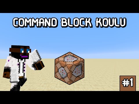The simplest basics!  l Command Blocks