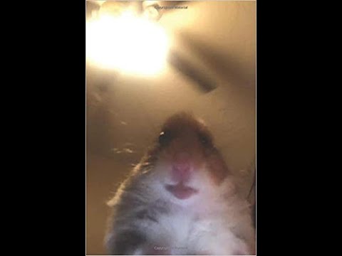 Knäcker X Kalash | EmpireX [Xatar feat. 2LADE Follow Me]