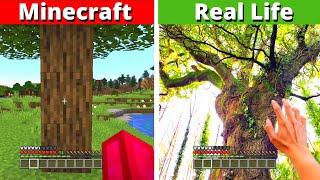 Why MINECRAFT is BETTER THAN REAL LIFE???