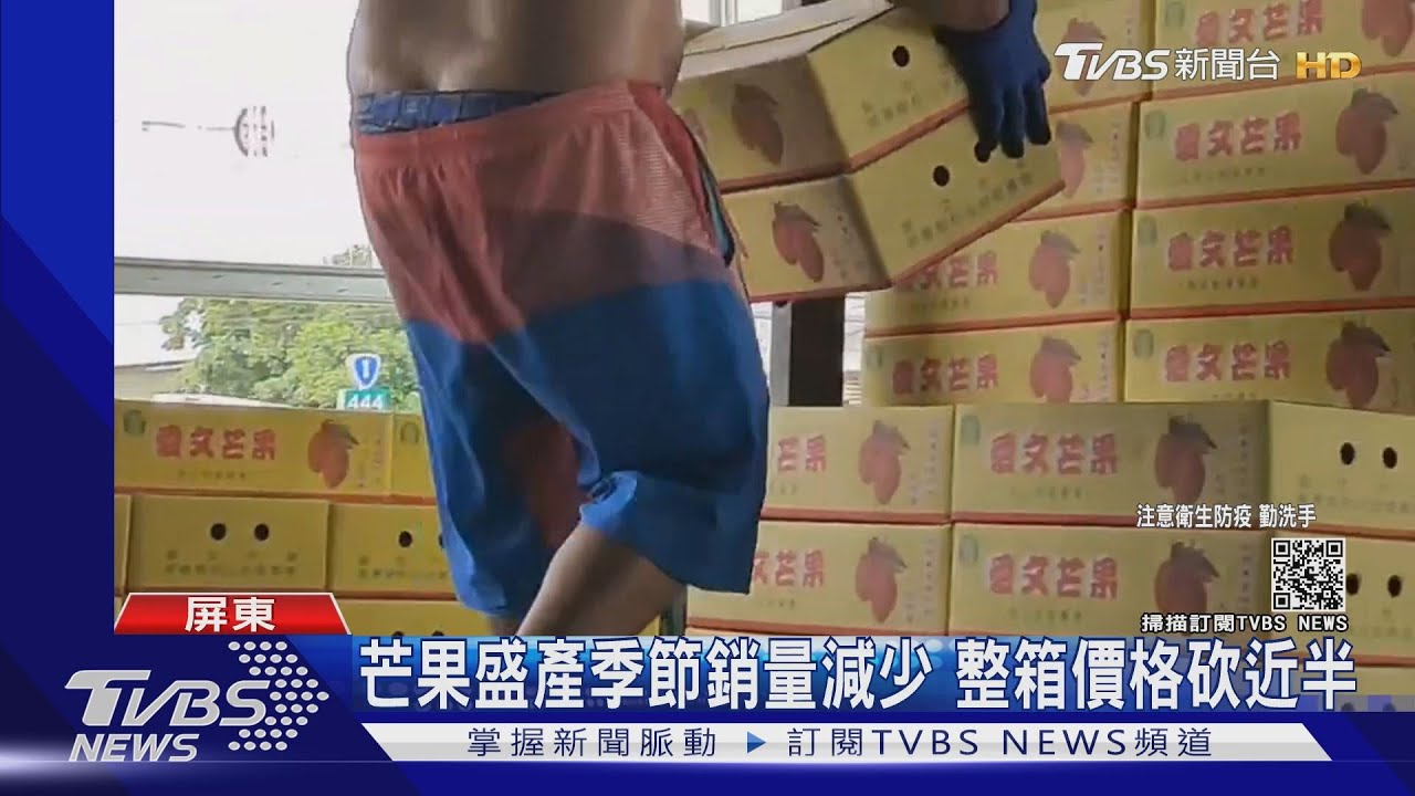 芒果整箱賣400元 昔盛產季難搶售價超過700元