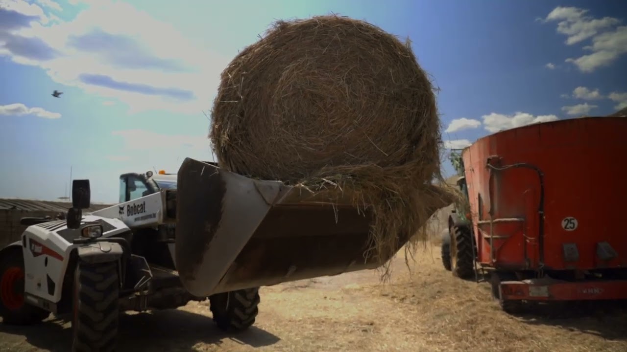Smart Livestock Monitoring System