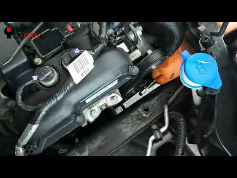 2012-2019 2.0L Ford Focus: Water Pump Removal/Replacement Guide