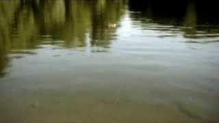 Roger van Lunteren - cryptic
