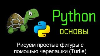 15. Рисуем простые фигуры с помощью черепашки (Turtle). Основы Python