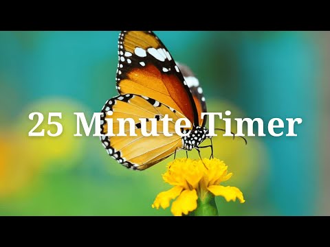 25 Minute Butterfly Timer