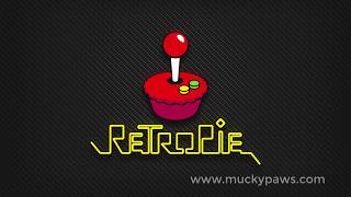 How to fix the black border issue on HDMI and RetroPie