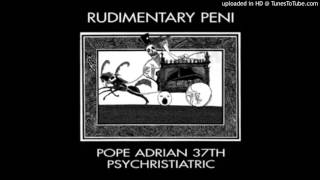 Rudimentary Peni - Muse Sick (sic)
