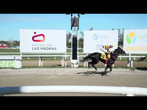 230527 c01 - GRA HEART - HIPODROMO LAS PIEDRAS