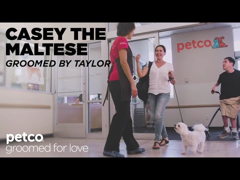 Petco Irvine Grooming