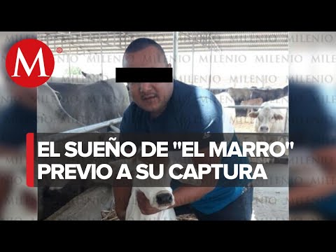 Images from the day Operation Golpe de Timón began in Guanajuato.