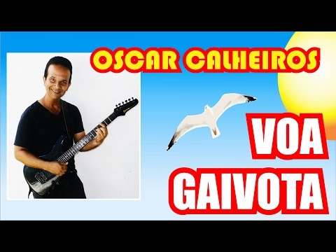 Voa Gaivota video