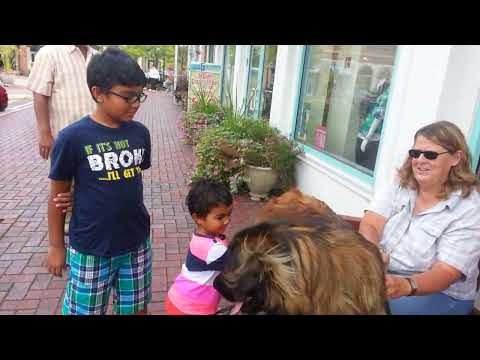 Esha and Praneel @ Waterfront with dog