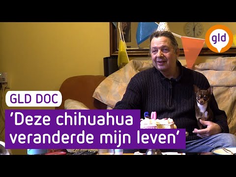 Het fantastische leven van John en Benji | GLD doc