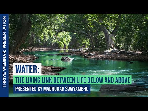 Here’s our presentation done in the Thrivability Matters Webinar held on 20th August, 2024, hosted in Australia. We were given the topic: Wate...