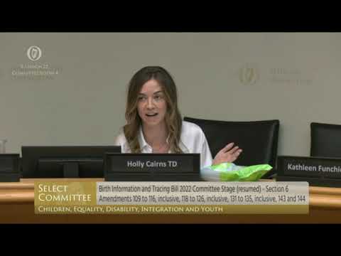 Committee discussion fo the Birth Information and Tracing Bill