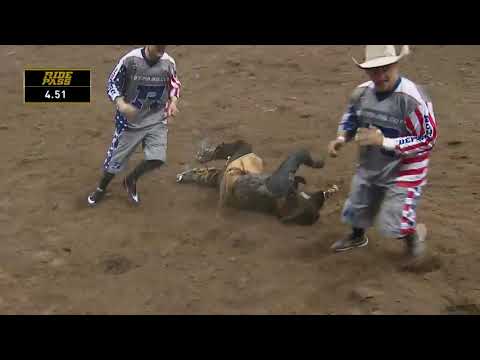 Stormy Wing Suffers Hyoid Fracture in Collision with Sun Country | 2019 Kansas City