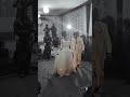 Wedding At Siejlieh