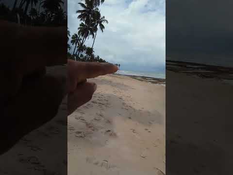 praia de tamandare Pernambuco