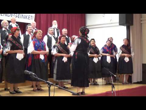 Mondschein Kórus - Szekszárd: Du schönes Ungarnland, Im Wald