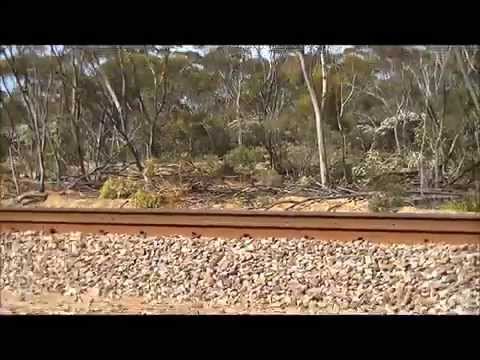 ARG train in WA