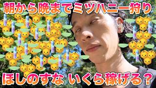 【検証】朝から晩までミツハニー狩りし続けたら「ほしのすな」はいくら稼げる？【ポケモンGO】