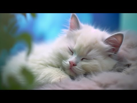 EXTREME Relaxation Music for Cats - Music to Relax Cats, Deep Relaxation, Stress Relief ♬