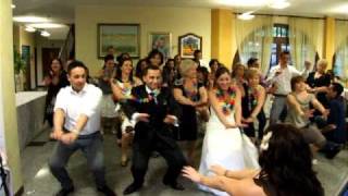 ballo di gruppo bomba matrimonio giochi balli bollle di sapone karaoke alex e claudia milano