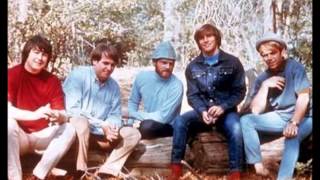 Beach Boys - We're together again
