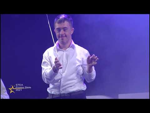 STEA Printre Stele 2021 -The Winners