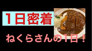 ねくらさんの休日