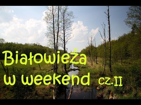 Weekend w Polsce - rowerowy wyjazd do Białowieży