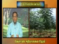 Pon Vilaiyum Bhoomi 29 05 2015
