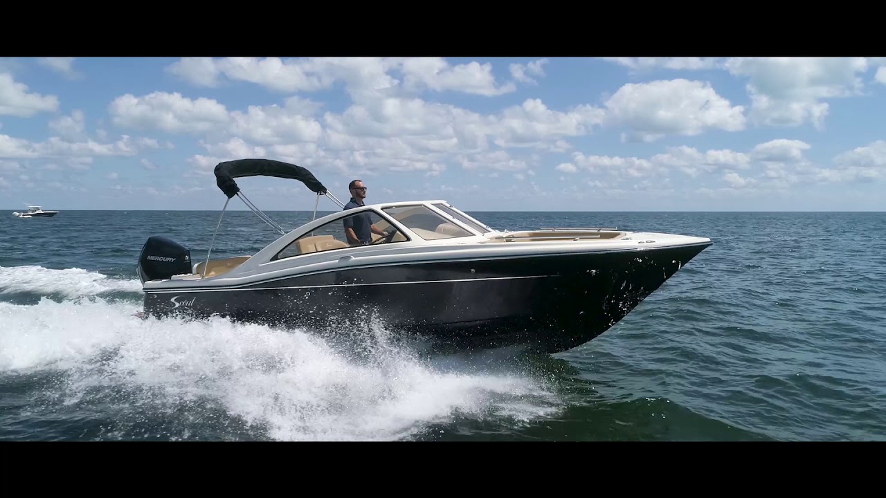 Scout 235 Dorado - Running