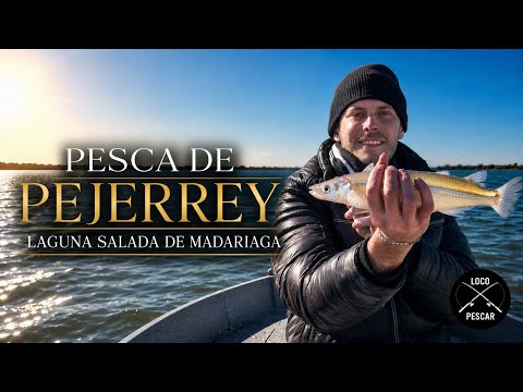PESCA DE PEJERREY en MADARIAGA | ¿Cómo está la pesca de PEJERREYES?
