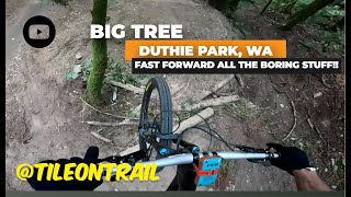 MTB Trail Preview