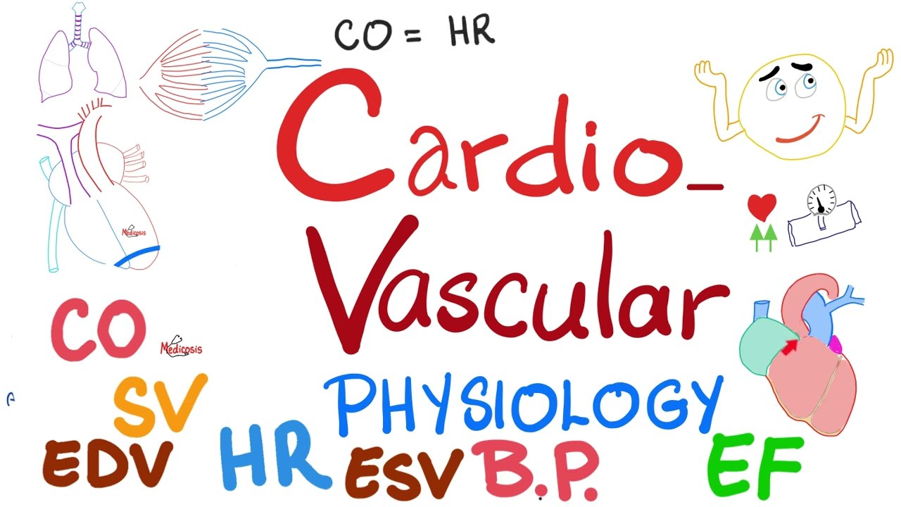 Cardiac Output, Stroke Volume, End systolic & End diastolic volumes, Ejection Fraction