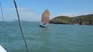 preview picture of video '10.Kingfisher in Fishguard Harbour'