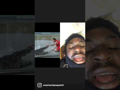 Não mete a mão ali….                          #fyp #jacaré #perigo #brasil #freefire