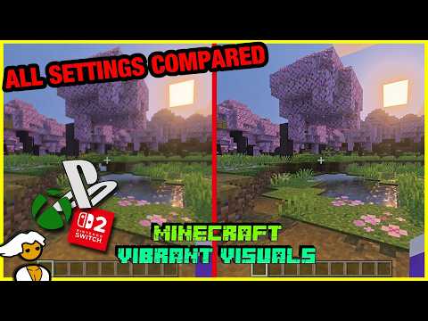 I Tested Every Setting Possible! - Performance issues in Minecraft Vibrant Visuals Update