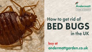 How to get rid of Bed Bugs in the UK